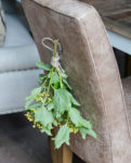 Cape Breton Dining Chair, pellini camel